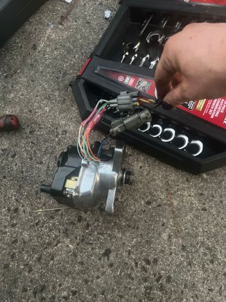 Distributor without the cap