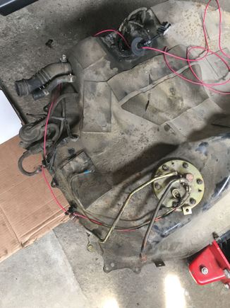 New pump wiring just before putting the tank back in. Just has the new strainer for now, still using the old pump. 