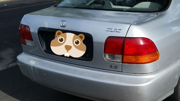 Excuse the Pterodactyl poop...