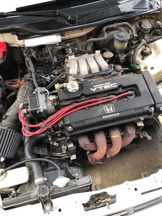 Has all three hasport mounts I know the oem ones failed on him before swapping to hasport. Just want to make sure everything is solid before I put next motor in and take good to body shop for metal work n paint 