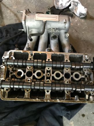 Then got a great deal on a gsr head from a buddy of mine with a skunk 2 style intake manifold. 