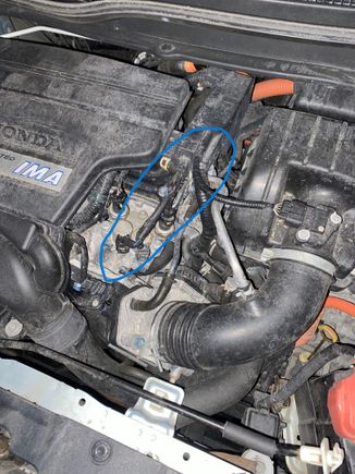 Wire with rodent damage circled in blue