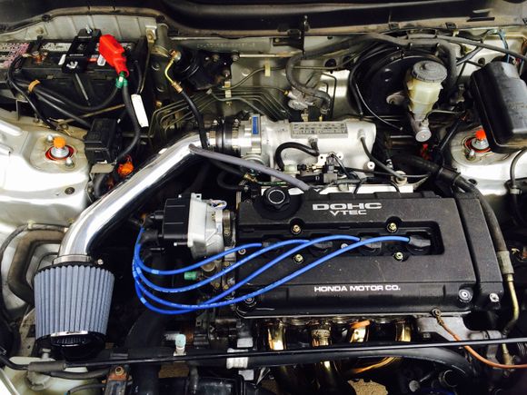 Freshly built minty fresh