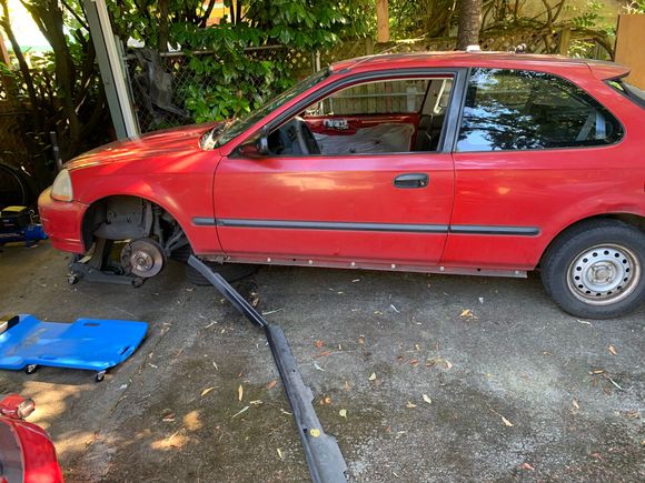 Pretty much what she looked like when I picked her up.