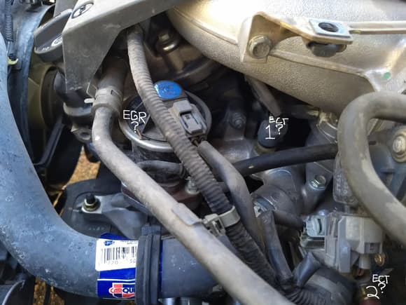 Is this the EGR Valve with the blue sticker on top of it? And which of these two is the Coolant Temperature Sensor, 1 or 2?
