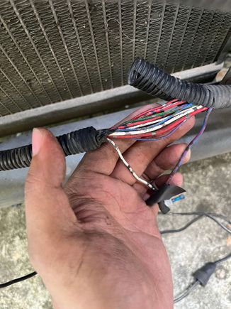 hi guyss I need help on wiring diagram. I got this car with no horn. I dont know which one is the wire. please help thanks!