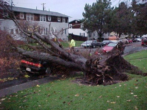 1988 Honda CRX Si - ED9