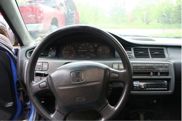 IMG 2554