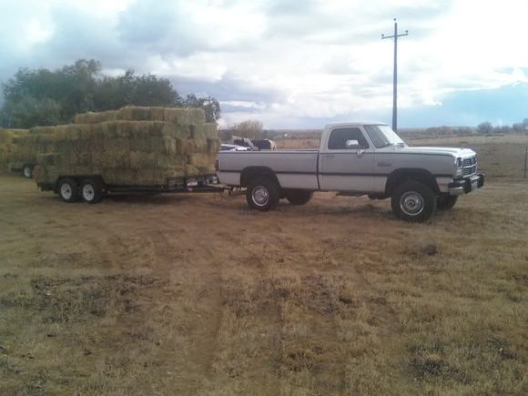 Haulin' Hay
