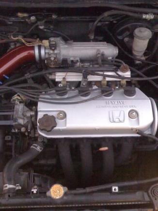 243