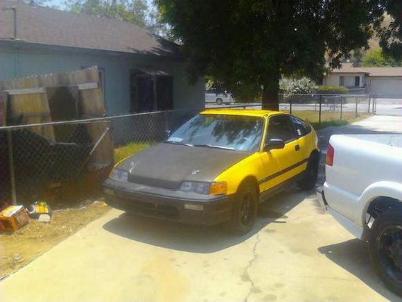 Bumble bee