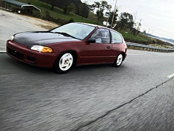 Import Allinace Rolling Shot