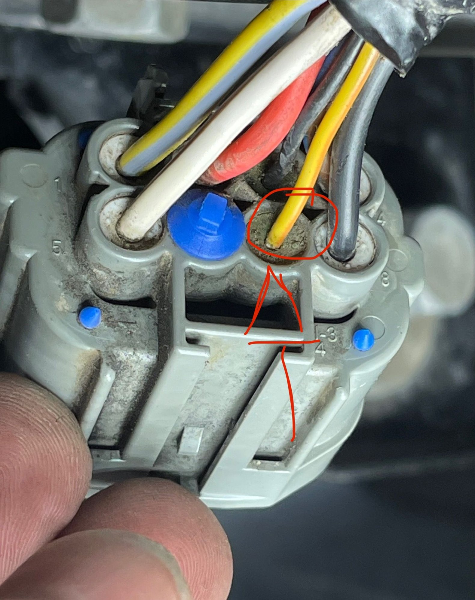 Connector going into fuel pump module control. 