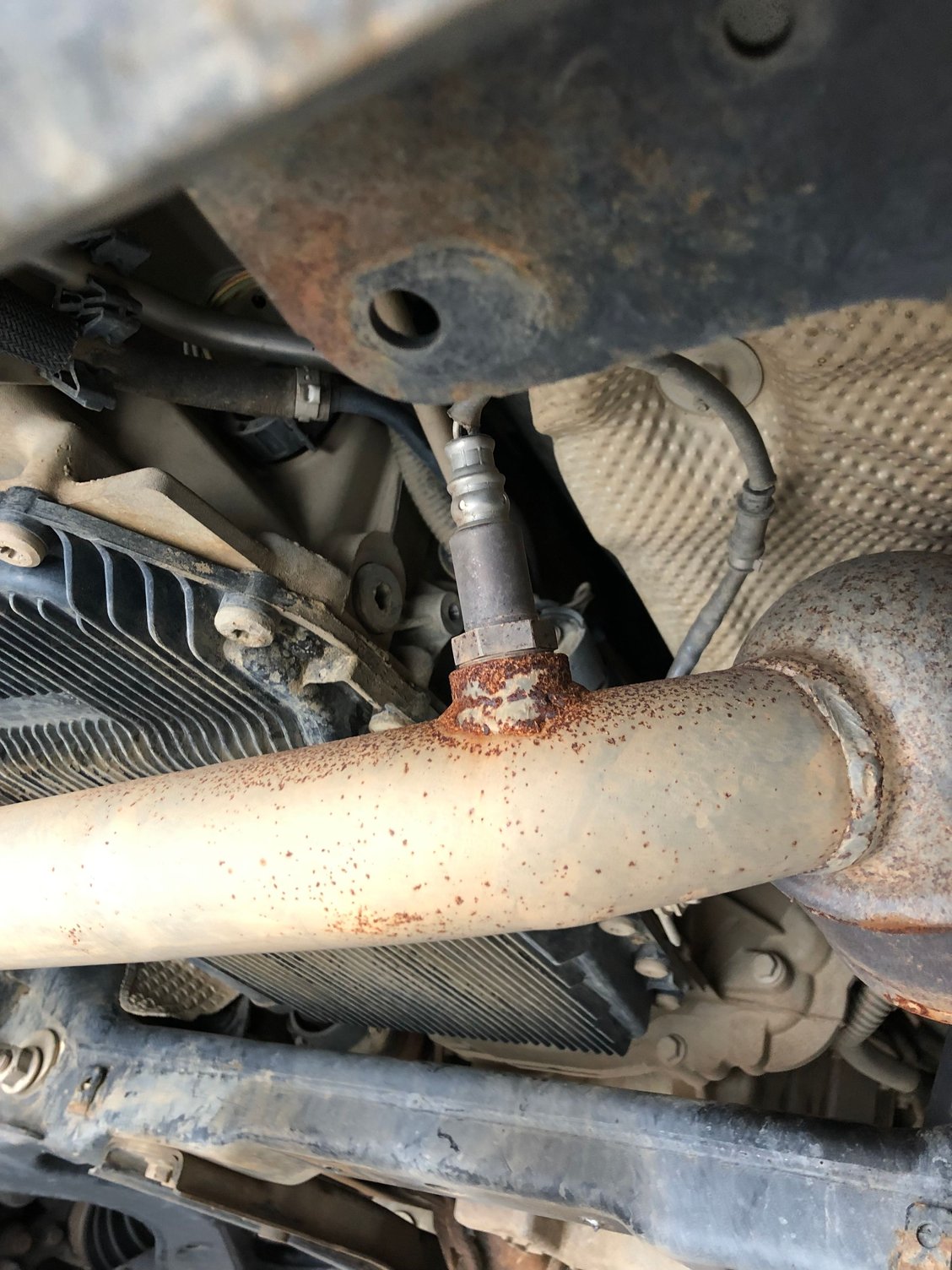 Replacing Catalytic Converters In California Page Land Rover