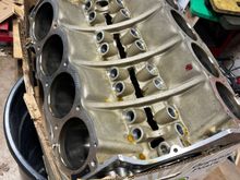 Looking pretty good. 