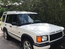 2001 Disco, DeeDee the Panda