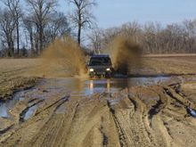 Tomato Arkansas mudding