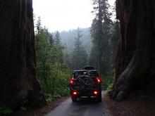 Sequoia/Kings Canyon National Park - Fresno Ca