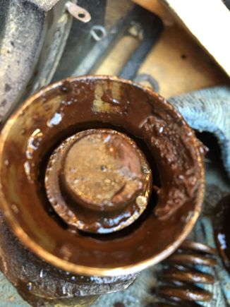 The piece in the center is metal that’s were the springs fits. The plunger behind it, I can’t see how to remove it, from there is we’re the fluid leaks out. 