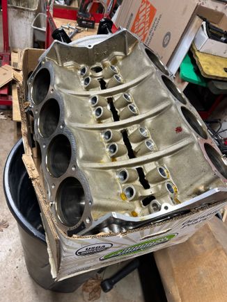 Looking pretty good. 