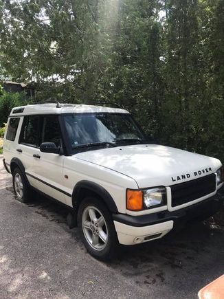 2001 Disco, DeeDee the Panda