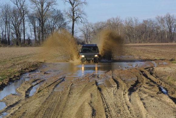 Tomato Arkansas mudding