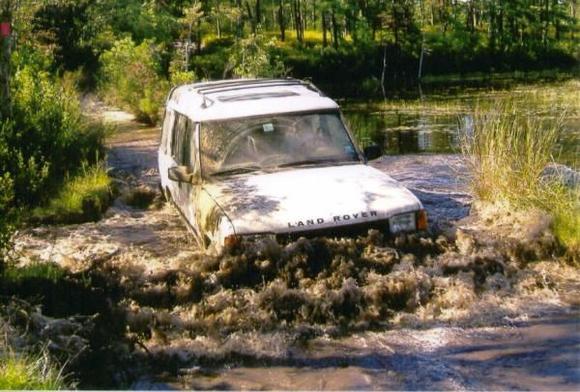 Pine Barrens, NJ.