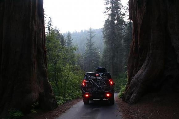 Sequoia/Kings Canyon National Park - Fresno Ca
