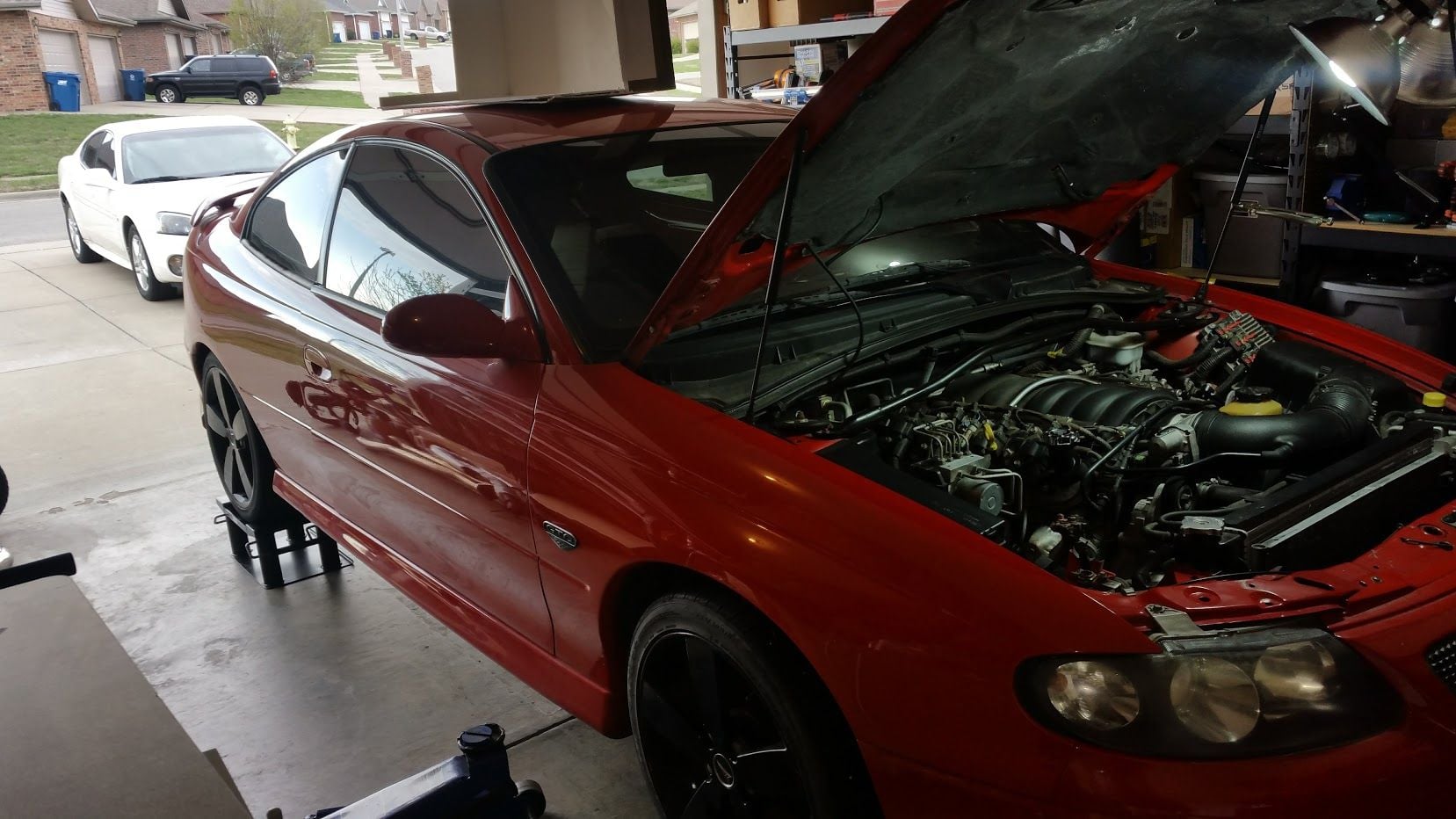 2006 Pontiac GTO - 2006 Pontiac GTO ROLLER Torrid Red 102k Miles - Used - VIN 6G2VX12U96L812662 - 102,000 Miles - 2WD - Automatic - Coupe - Red - Springfield, MO 65807, United States