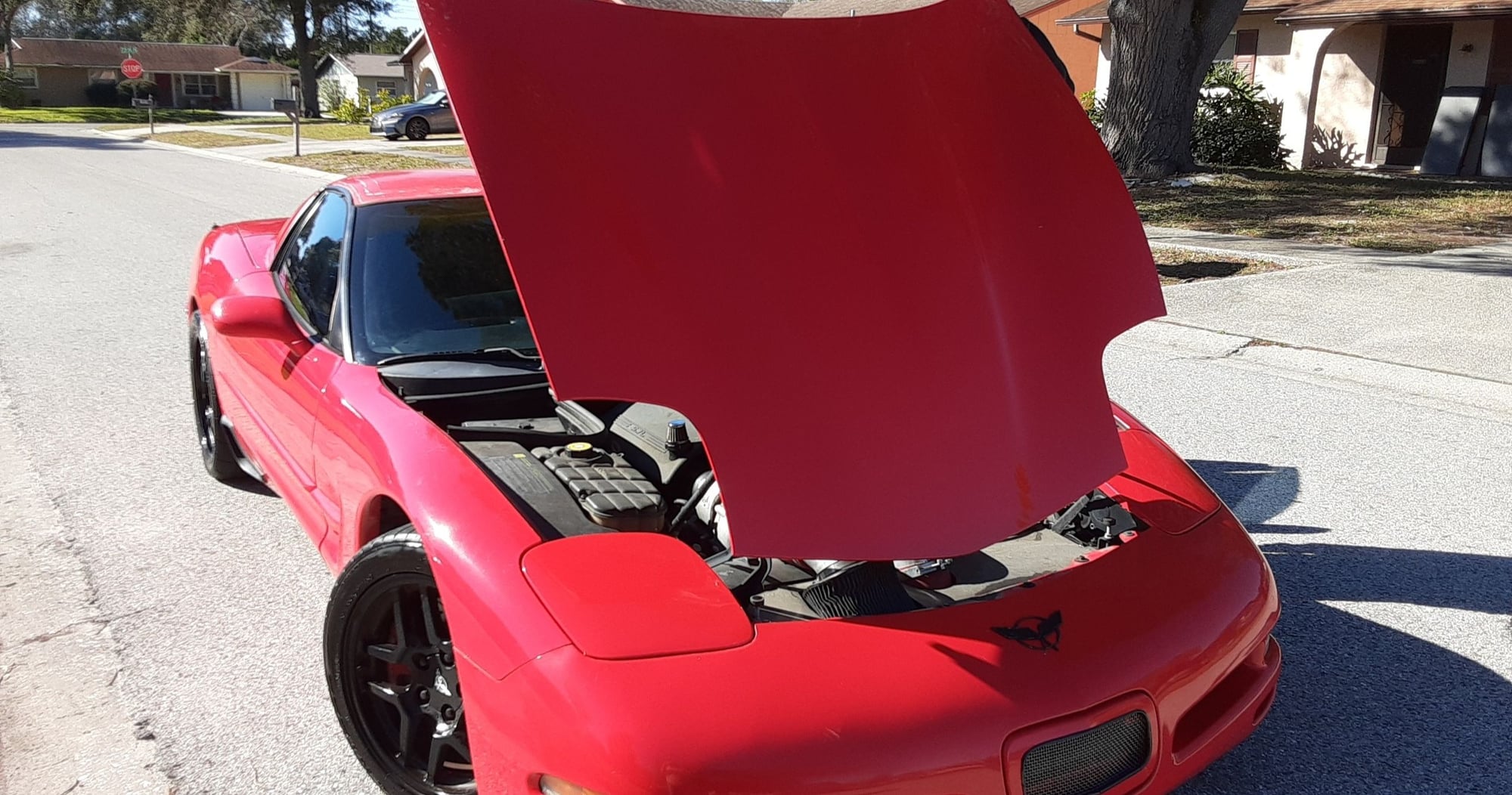 2000 Chevrolet Corvette - 2000 Torch Red FRC. ECS Supercharged 590 RWHP. 71K Miles. Tampa, FL. - Used - VIN 1G1YY12G0Y5100456 - 710,000 Miles - 8 cyl - 2WD - Manual - Red - Saint Petersburg, FL 33709, United States