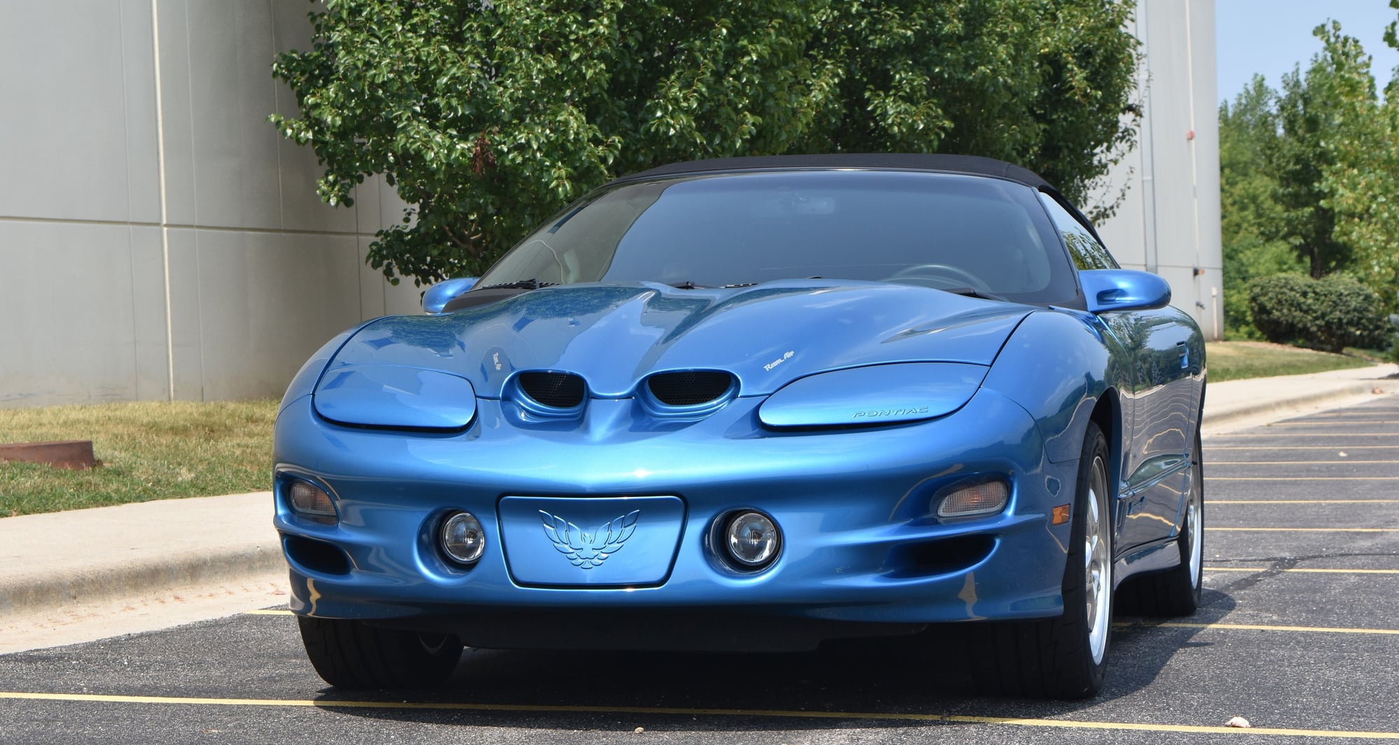 1999 Pontiac Firebird - 1999 Trans AM Convertible - Medium Blue Metallic 1 of 24 - Used - VIN 2G2FV32G0X2233154 - 91,000 Miles - 8 cyl - 2WD - Automatic - Convertible - Blue - Lake Zurich, IL 60047, United States