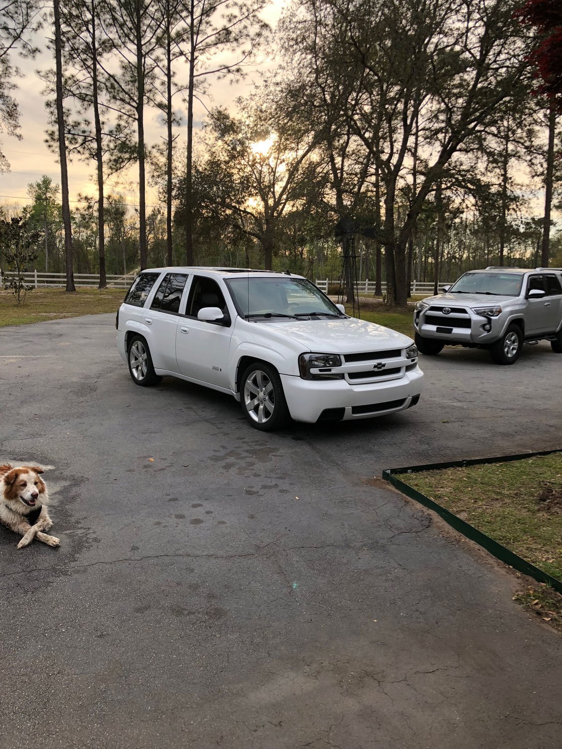 2007 Chevrolet Trailblazer - 2007 Chevy Trailblazer SS - Used - VIN 1GNES13H972261656 - 8 cyl - 2WD - Automatic - Truck - White - Bellmore, NY 11710, United States