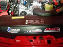 Little side job "ack's Performance" quick nitrous install on the gto.