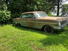 This is how we found her sitting in all her glory out in Nebraska on a farm. 1965 Nova 