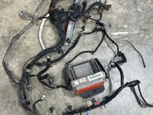 PCM and harness 