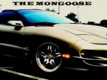 Garage - The Mongoose