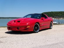 Most Wanted 2000 Transam