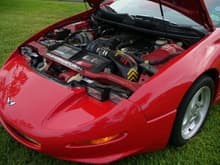 This car has the prototype Callaway C8 valve covers that were machined at Callaway.  The engine pictured in the Callaway C8 brochure is from this car.  Fun Trivia fact: the same CNC machine that milled these valve covers also milled all of the aluminum covers for Madonnas &quot;SEX&quot; books...