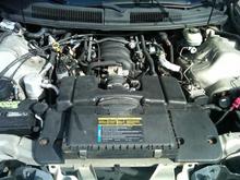 IMG 20110308 00017