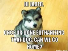 baby courage wolf meme generator hi jared once ur done euthanizing that dog can we go home 7f210b