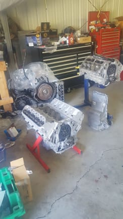 got both LS1s back from the machine shop