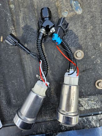 Walbro 535/450 into a -8 Y fitting