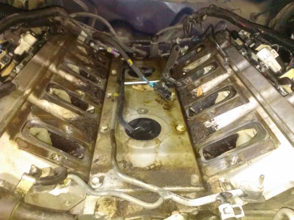 The tear down, look at the amount of crap under the intake.