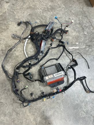 PCM and harness 