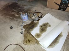 (above) When I removed the filter, I put it on the garage floor on its side.  A few minutes later I spotted the puddle of oil that had seeped out.  Maybe a half cup of oil in the filter I would say.