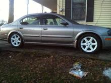 maxima white rims