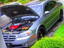nismo the maxima