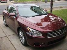 2011 Maxima SV - Tuscan Sun Metallic