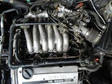 the Maxima