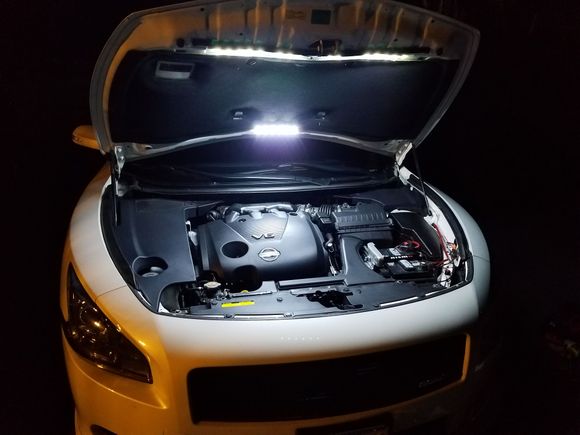 Under hood led lighting